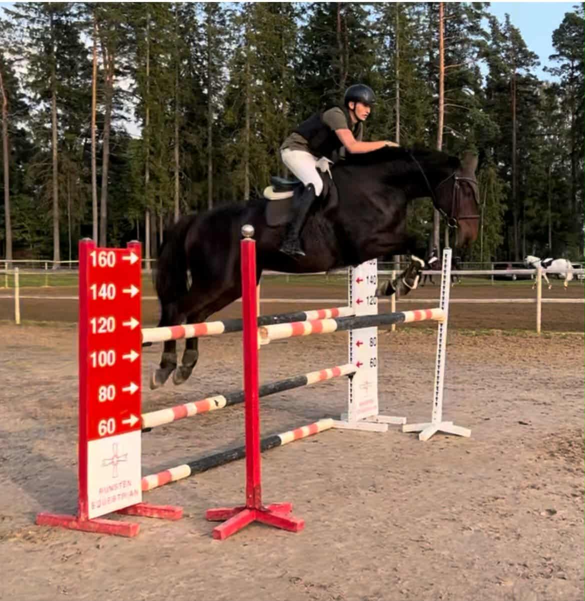 Lambo och Oscar